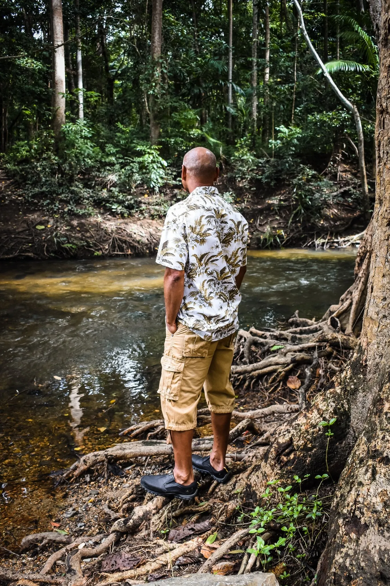 Antares Shirt - Tropical Green