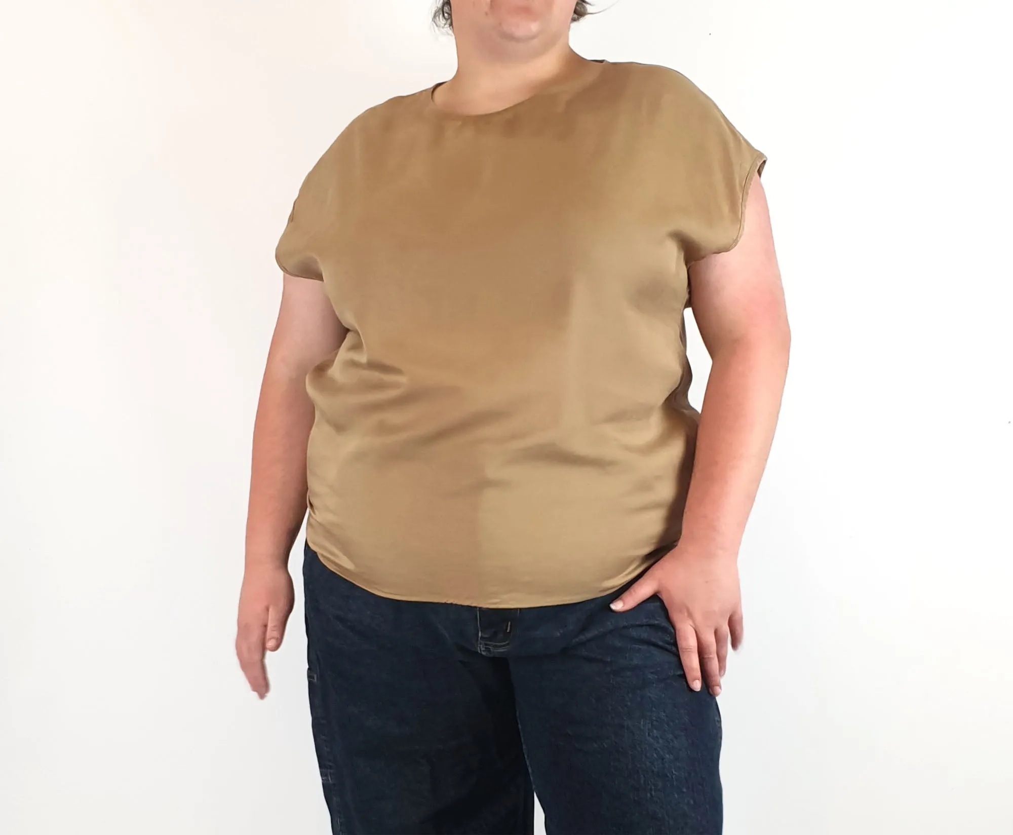 Brown cap sleeve top fits size 20