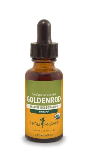 Goldenrod/Solidago canadensis