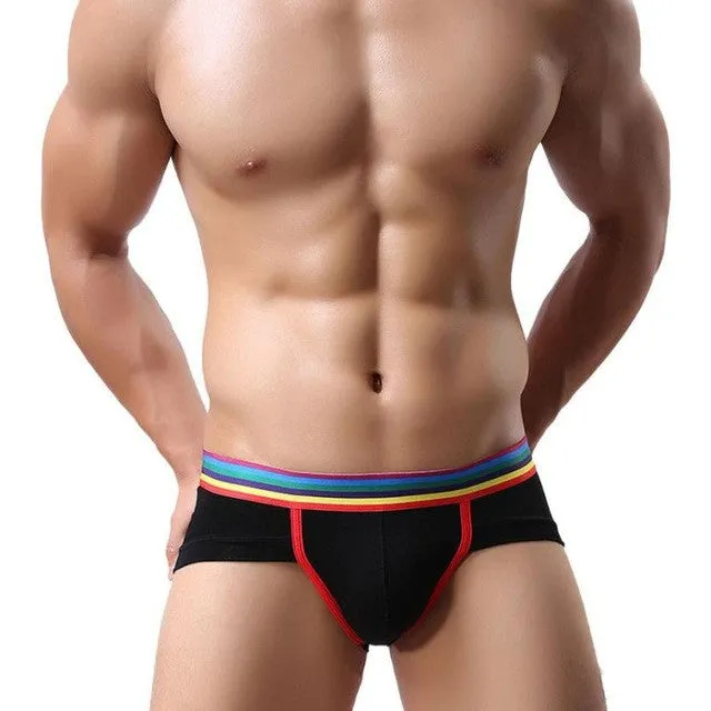 Men's Shorts Soft Modal Bulge Pouch Underpants Sheer Elastic Briefs