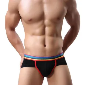 Men's Shorts Soft Modal Bulge Pouch Underpants Sheer Elastic Briefs