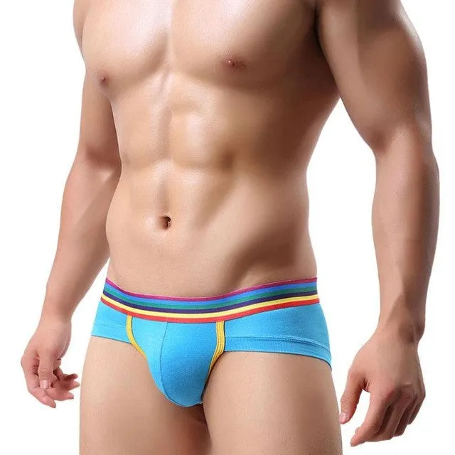 Men's Shorts Soft Modal Bulge Pouch Underpants Sheer Elastic Briefs