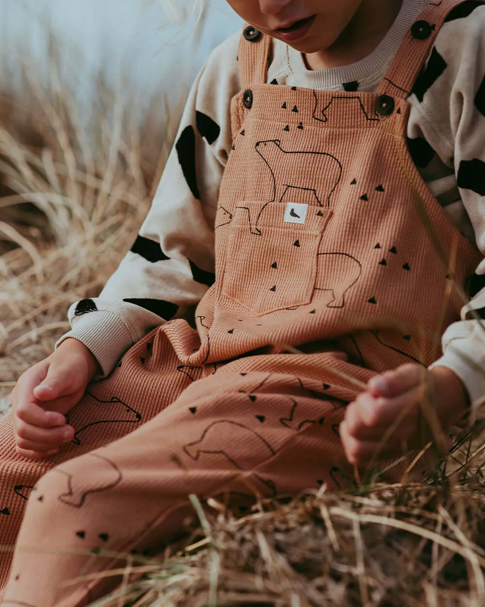 Orange Sketch Bear Print Dungarees