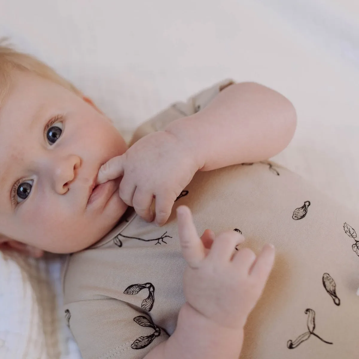 Organic Cotton Maple S/Slv Bodysuit