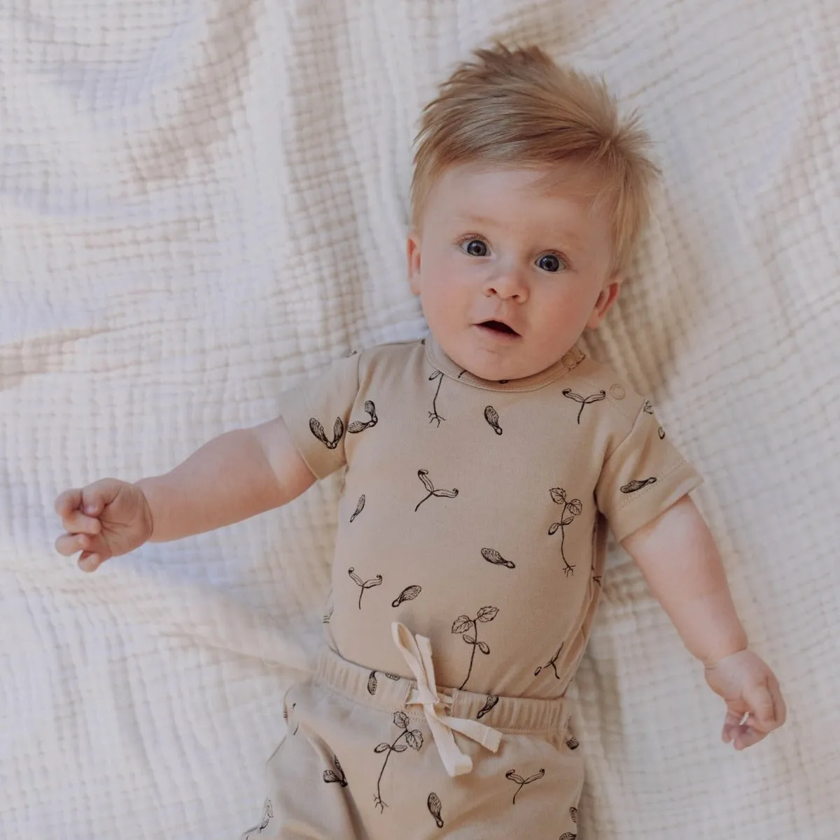 Organic Cotton Maple S/Slv Bodysuit