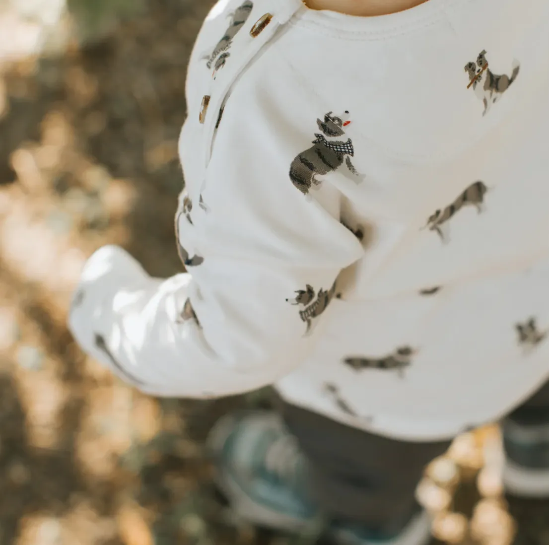 Petit Lem Australian Shepherd Print Tee and Pant