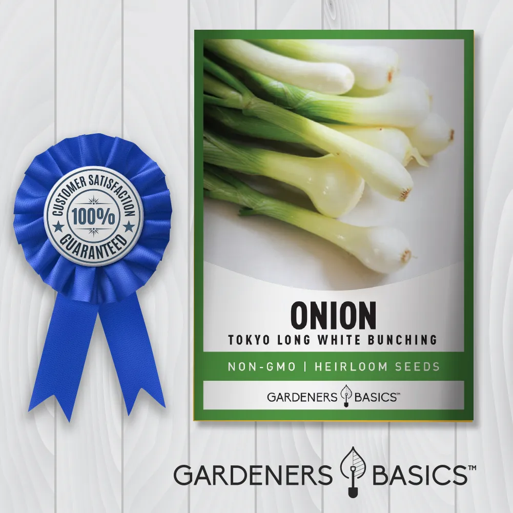 Tokyo Long White Bunching Onion Seeds