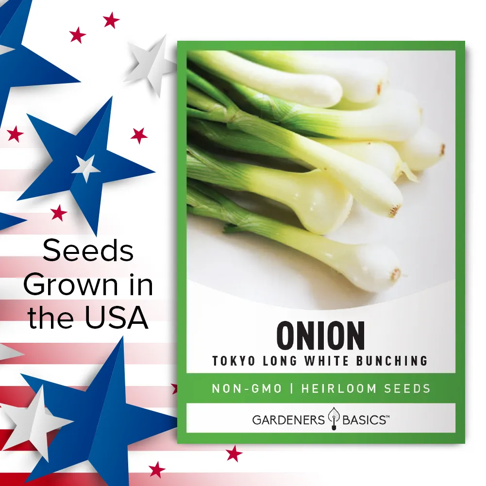 Tokyo Long White Bunching Onion Seeds